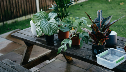 outdoor-leisure-product